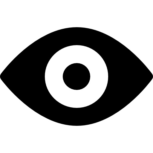 Icon of vision